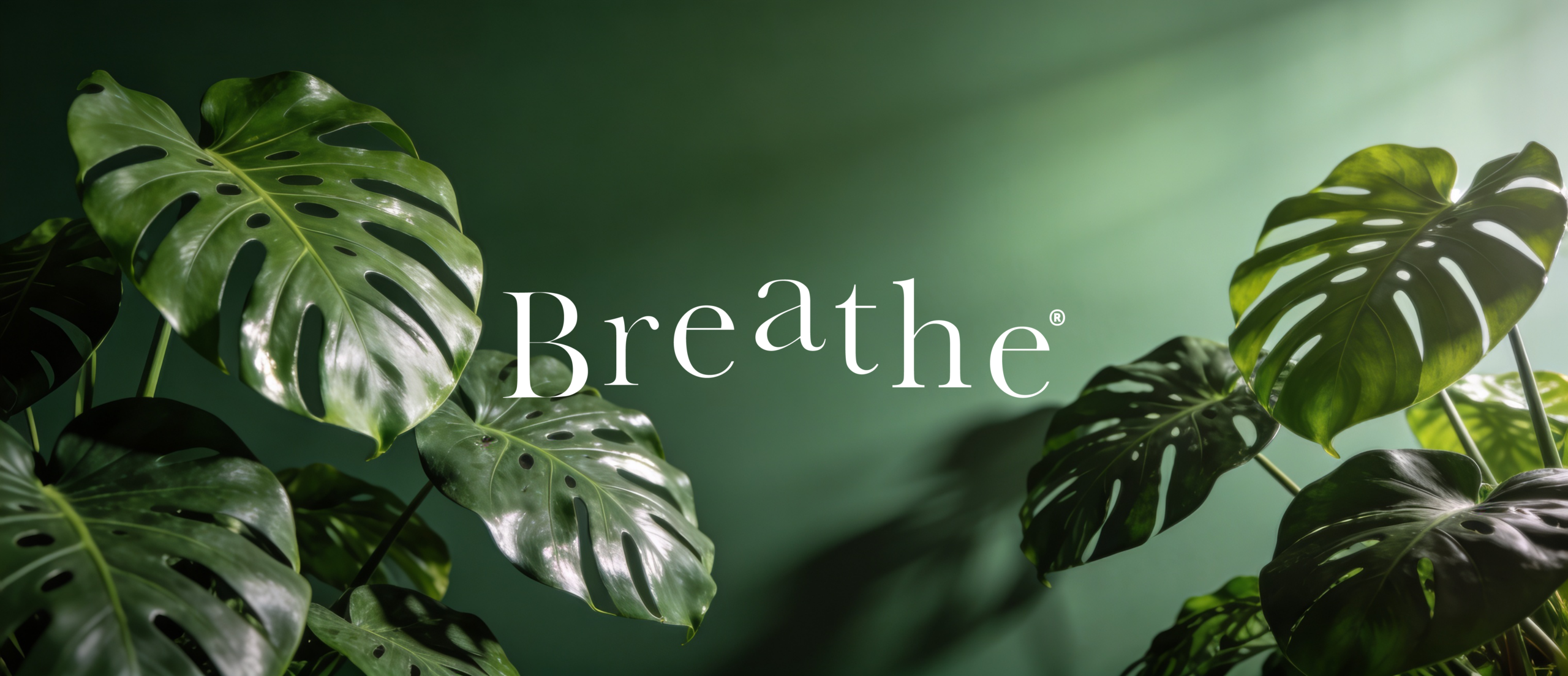 Breathe